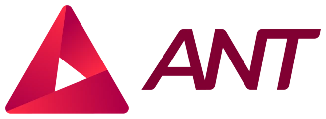 Agile Networks